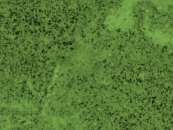 Fond vert avec des point noir un peu partout. Fond vert avec des point noir un peu partout.