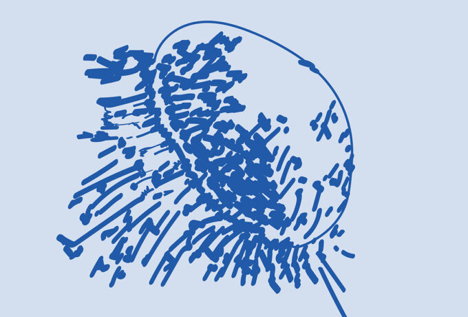 Méduse bleu foncé sur fond bleu clair. Méduse bleu foncé sur fond bleu clair.