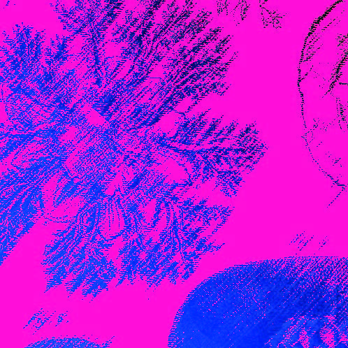 Fond rose fushia avec en bleu foncé un plan serré d'une plante. Fond rose fushia avec en bleu foncé un plan serré d'une plante.