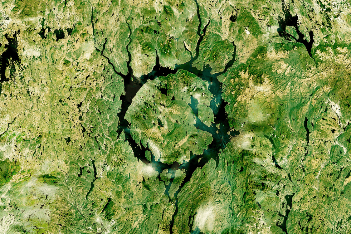 Photographie de nature pris par l'artiste Paul Duncombe. Photographie de nature pris par l'artiste Paul Duncombe.